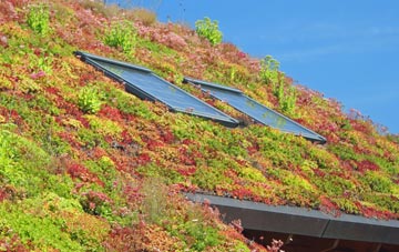 Berrygate Hill living roof systems