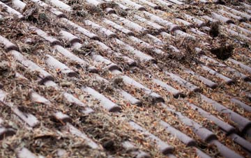 Berrygate Hill roof cleaning companies